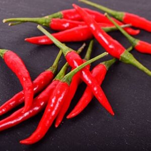 bird pepper