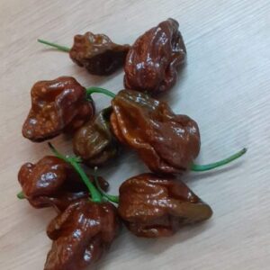 Trinidad Moruga scorpion chocolat