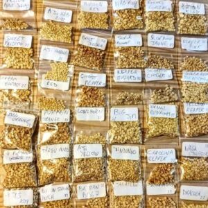 34 VARIETIES OF CHILLI SEEDS