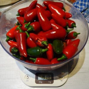 jalapeño
