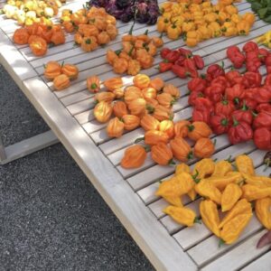 Box of various fresh peppers