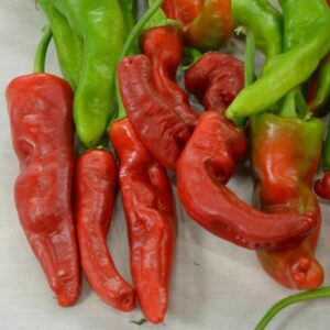 Tunisian Baklouti