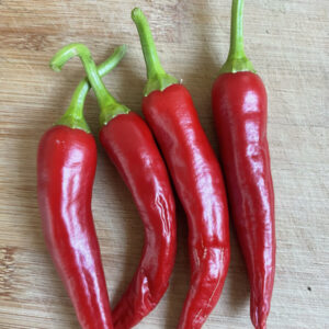 Korean peppers - Hong Gochu