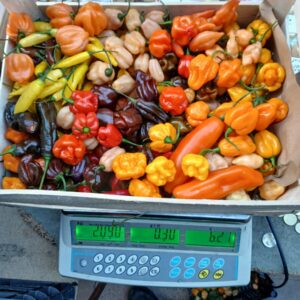 box mix 2 kg