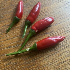 ETNA PEPPER SEEDS