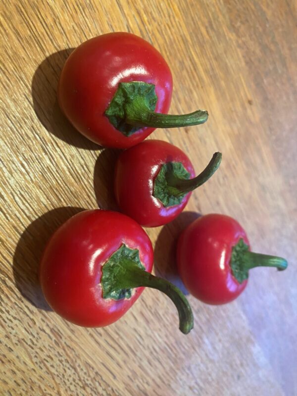 GRAINES DE PIMENT CERISE DE CALABRE