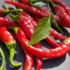 Piment de Cayenne – Image 2
