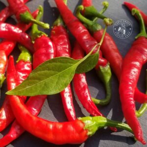 Piment de Cayenne