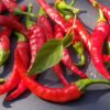 Piment de Cayenne – Image 3