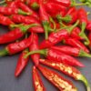 Piment Dundicut Pakistan / Lal Mirch – Image 4