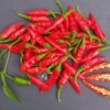 Piment Dundicut Pakistan / Lal Mirch – Image 2