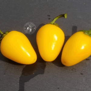 Jalapeno Spice Lemon