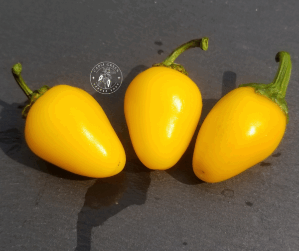 Jalapeno Spice Lemon