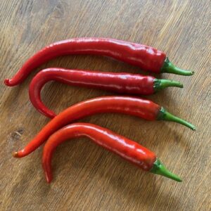 PIMENT LONG DE CALABRE