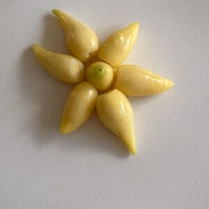 🌶 Graines de Piment Biquinho Blanc (15 graines)