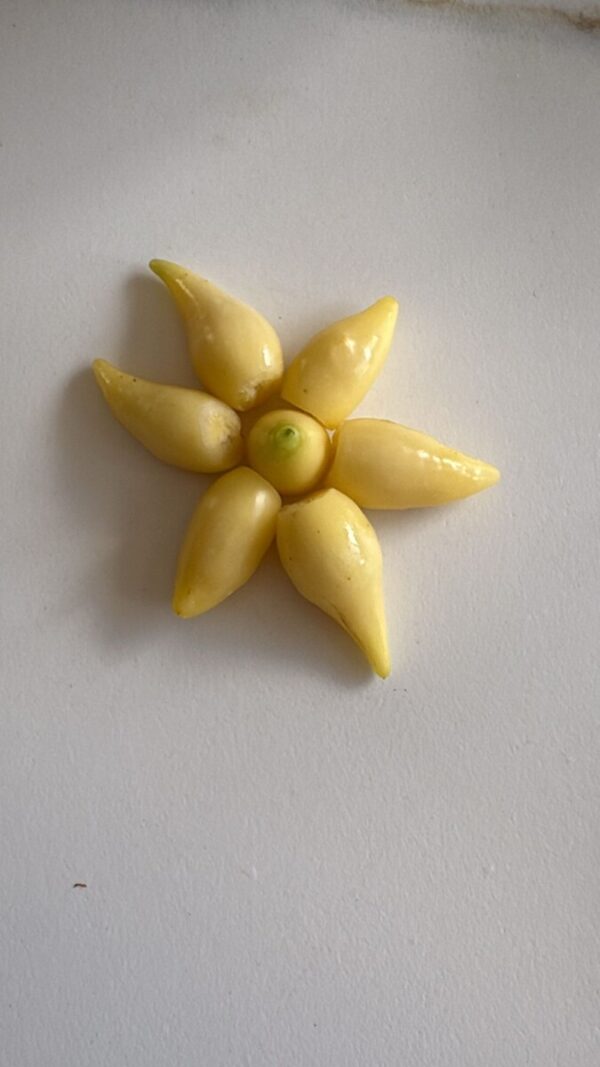 🌶 Graines de Piment Biquinho Blanc (15 graines)