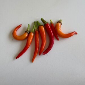 🌶 Graines de Piment Medusa (15 graines)