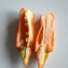 🌶 Graines de Piment Pénis Orange (15 graines) – Image 2