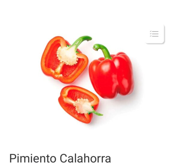GRAINE DE PIMENT CALAHORRA ARGENTINE